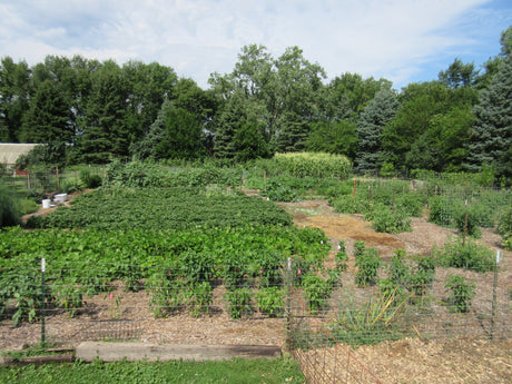 FAQ: “Do You Grow Everything Yourself?”