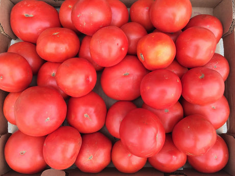 Tomato Sauce- The Lazy Way