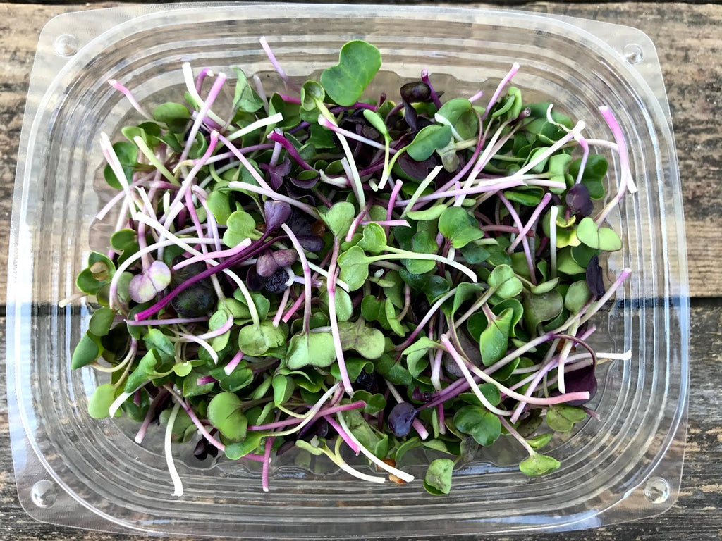 Microgreens: Health Benefits and Recipes for These Supercharged Greens