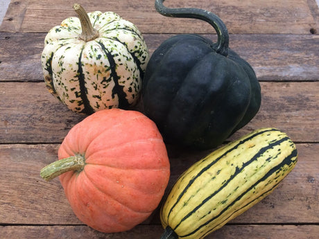 Best Methods for Storing Produce Long Term