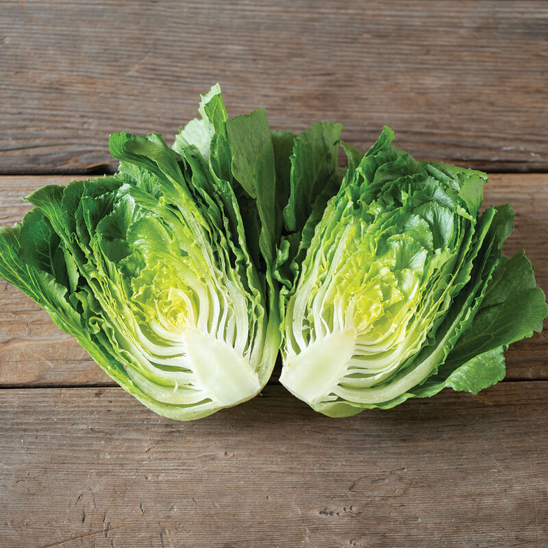 Lettuce, Mini Cosberg - 2 count
