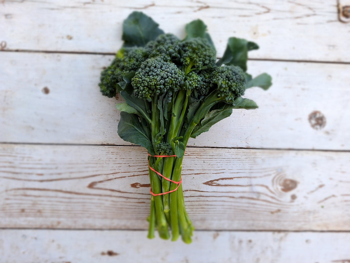 Broccolini, 12 oz