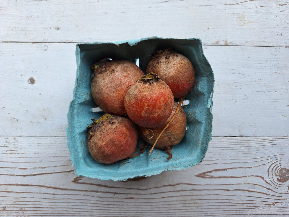 Golden Beets. 1.5 lb