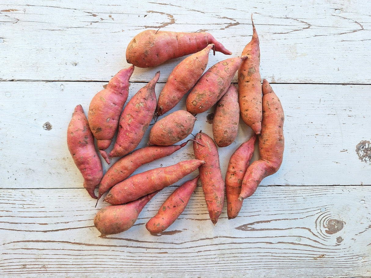 Sweet Potatoes, Baby - 1 quart
