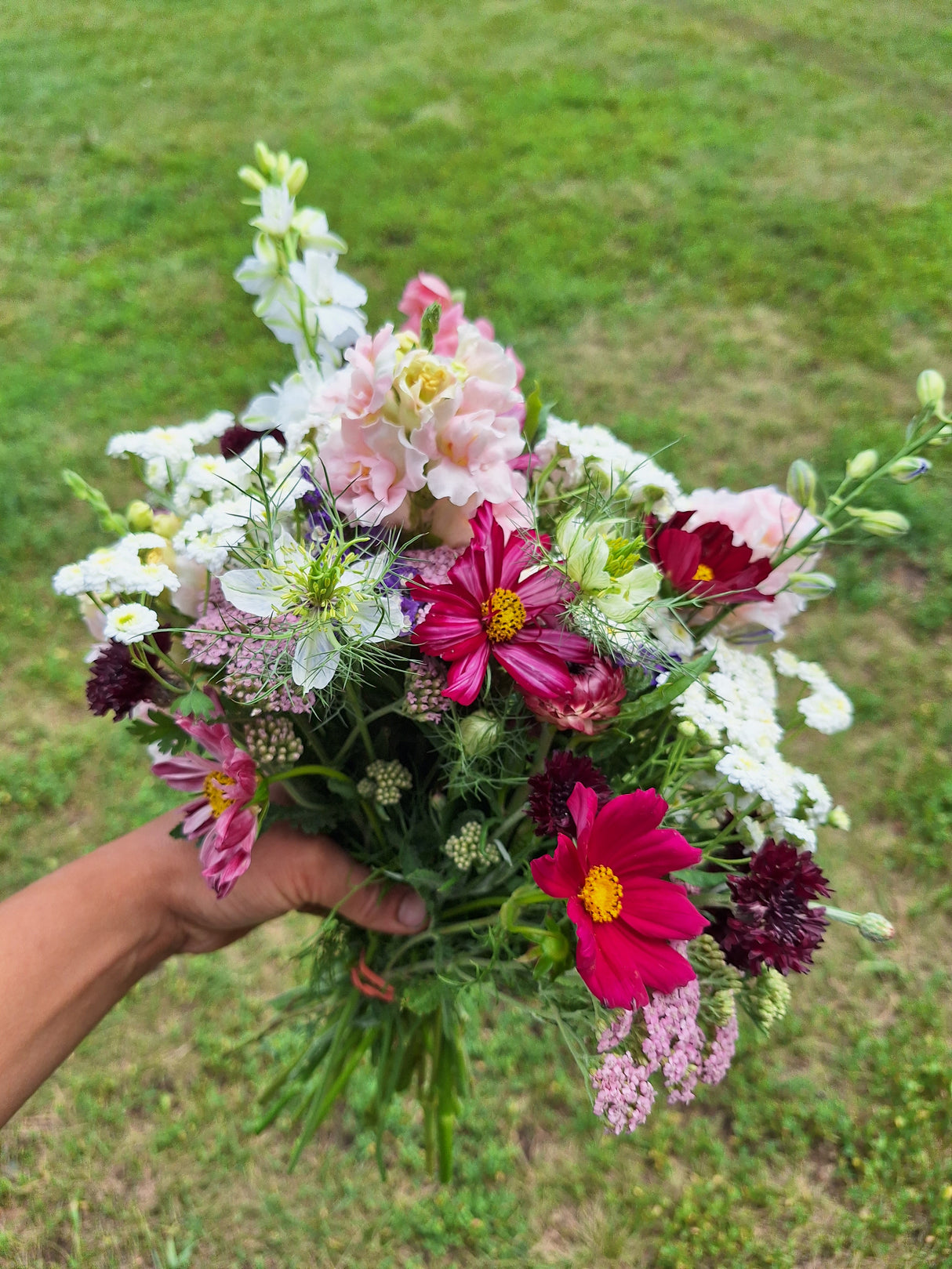 Bouquet of colorful flowers held by a hand against a grassy background