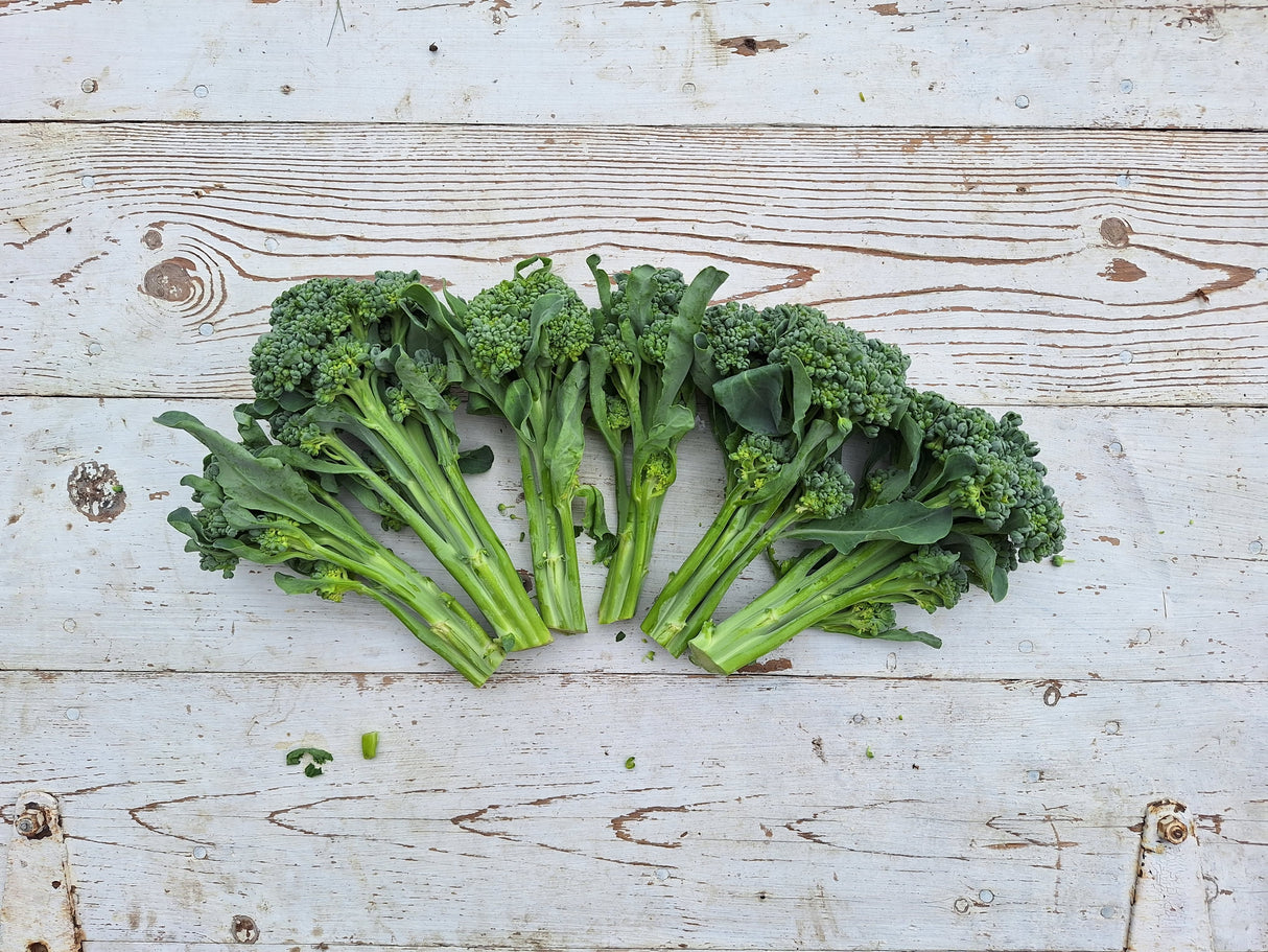 Broccolini, 12 oz