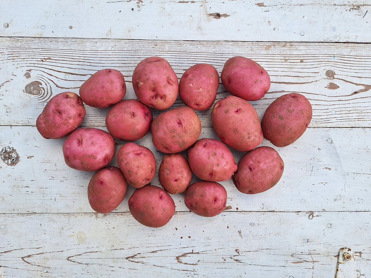 Potatoes, Red - 5 lb