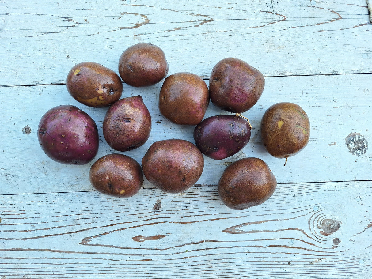 Potatoes, Huckleberry Gold - 2.5 lb