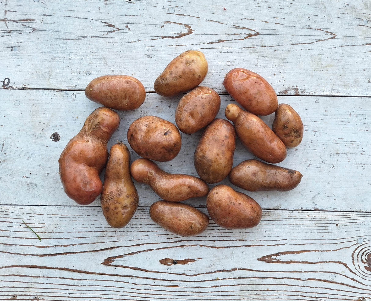 Potatoes, French Fingerling - 2.5 lb