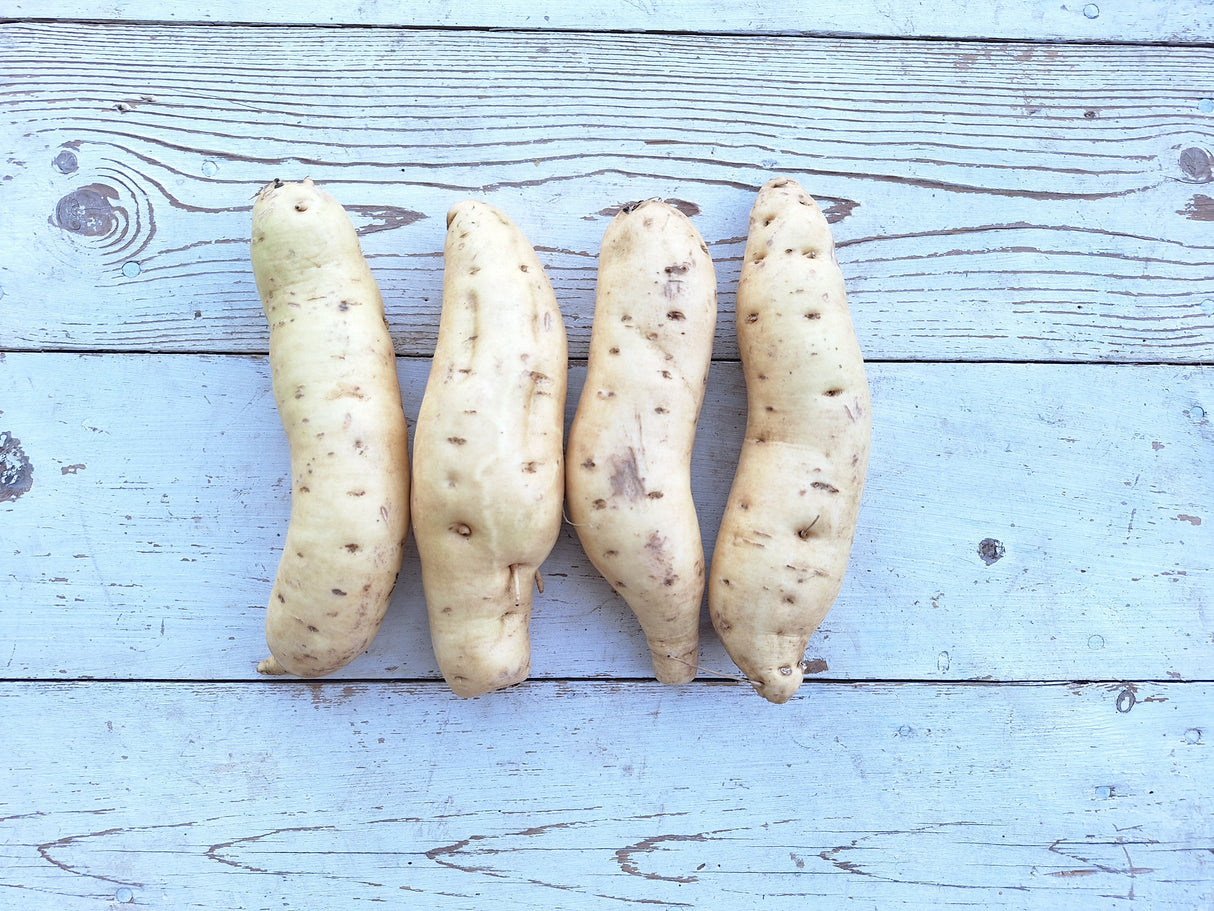 Sweet Potatoes, White - 2.5 lbs
