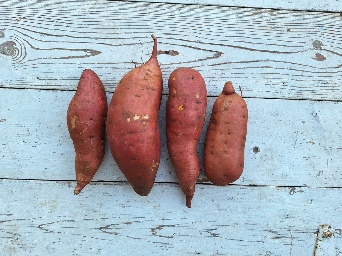 Sweet Potatoes, 2 lb