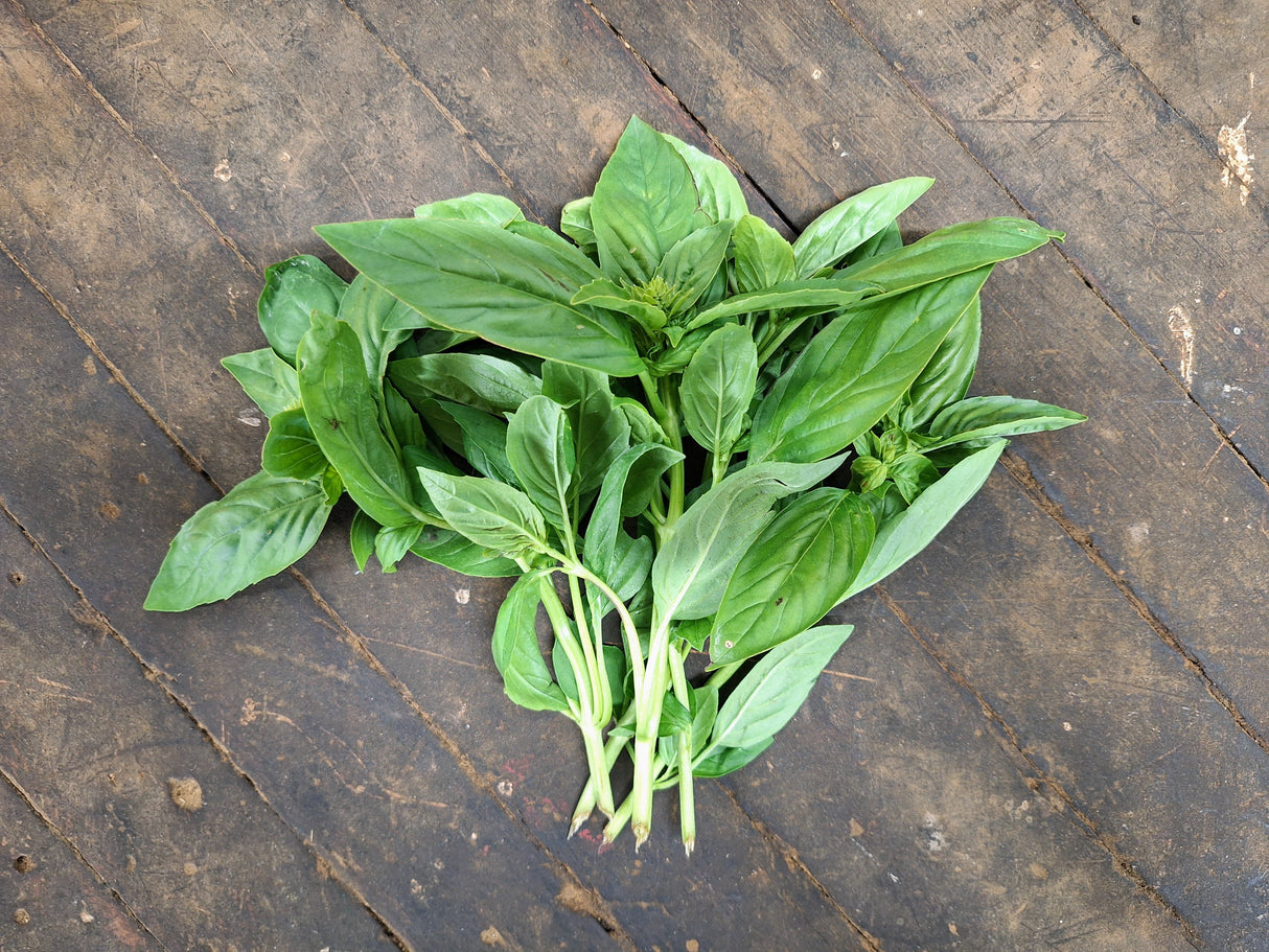 Basil, 2 oz
