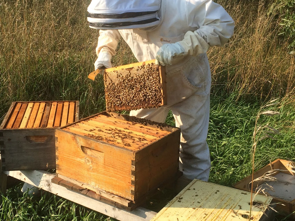 Mark Dahlberg raw honey in Beresford, SD