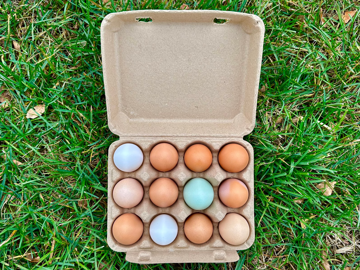 Grace Place Eggs - Organically Fed