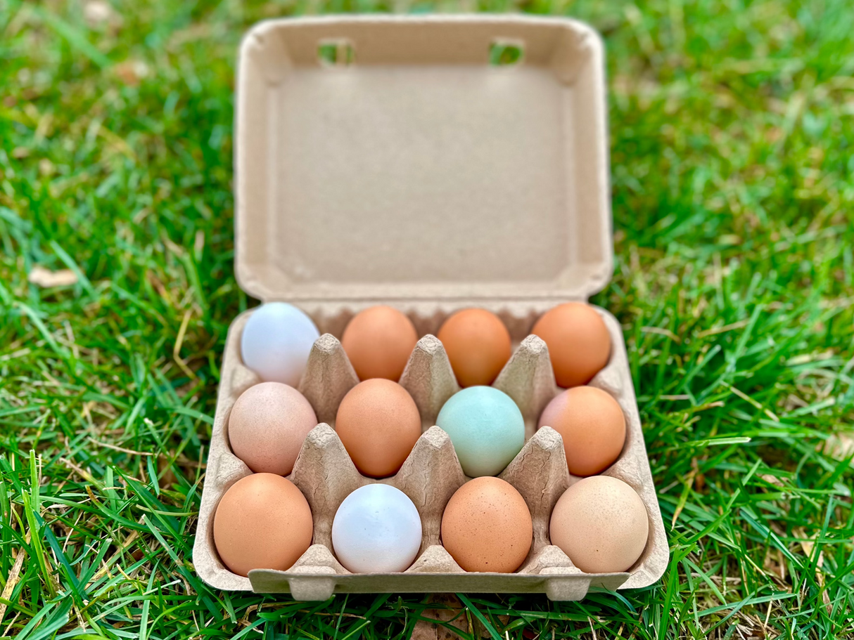 Grace Place Eggs - Organically Fed