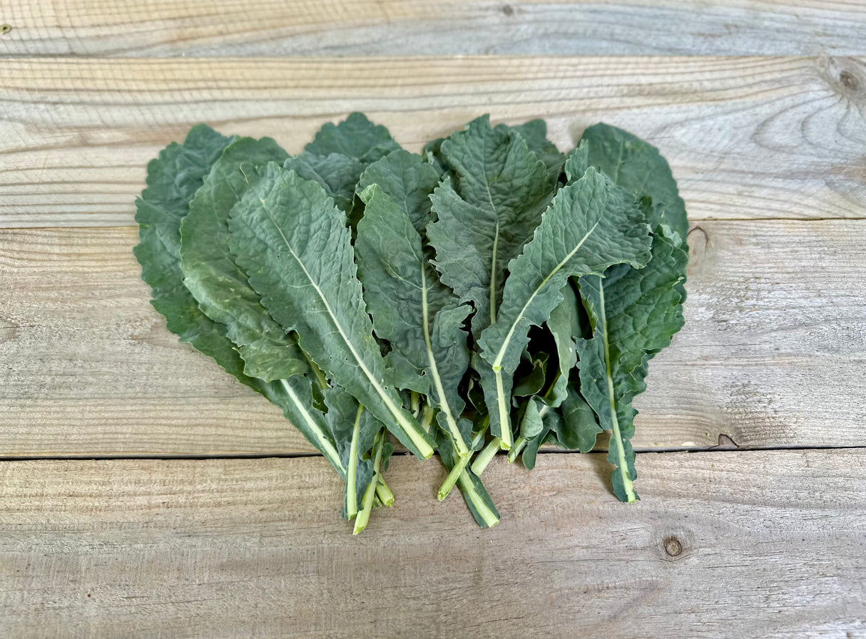 Dino Kale (Lacinato), 6 oz Bunch
