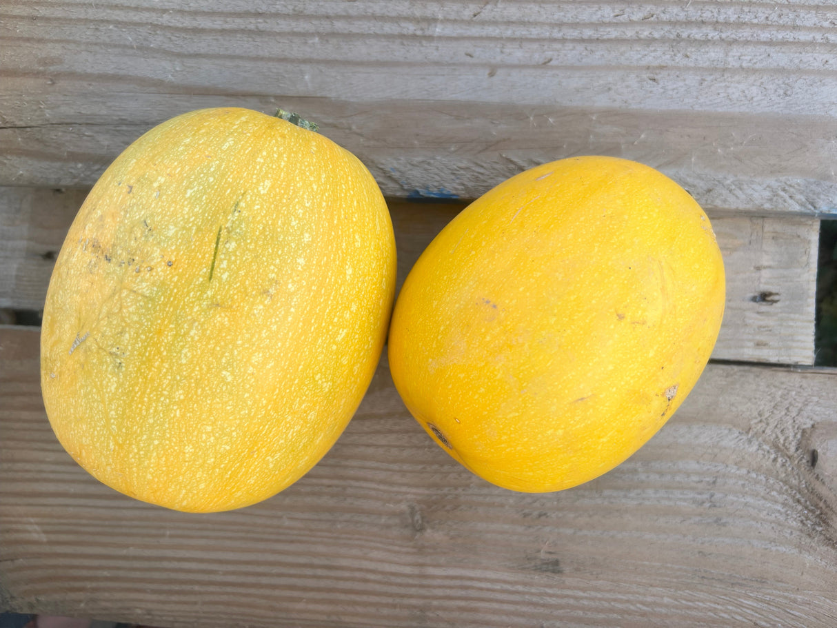 Squash, Individual-Sized Spaghetti