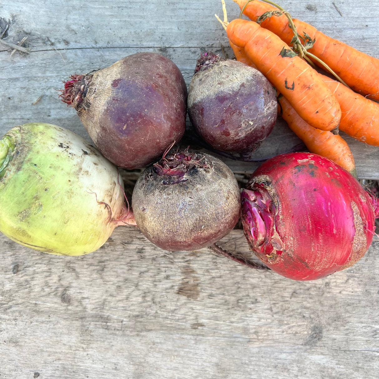 Roasting Roots - 2 lbs