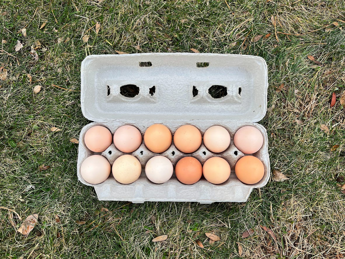 Philip Eisenbeis Non-GMO Fed Eggs