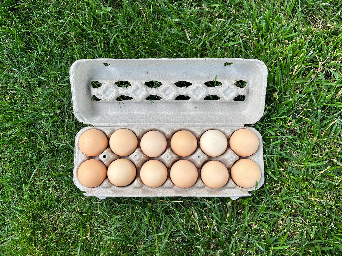 Veldkamp Family Eggs