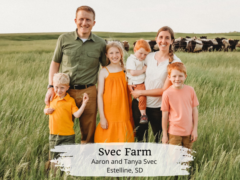 Svec Grassfed Lamb Spare Ribs, .7 lb