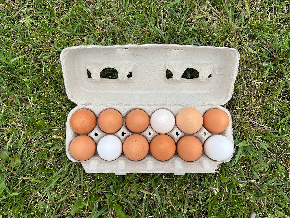 VanDerVliet Eggs