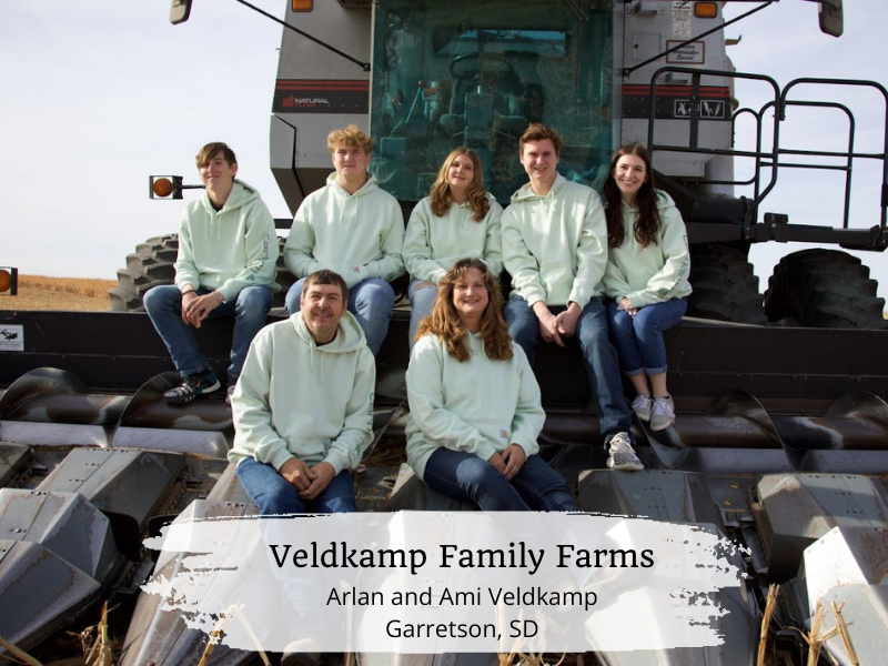 Veldkamp Family Eggs