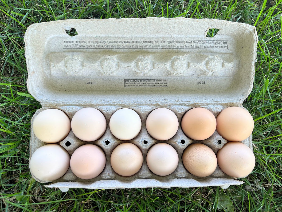 http://glorygarden.org/cdn/shop/files/VeldkampFamilyEggs_1200x1200.jpg?v=1684787240