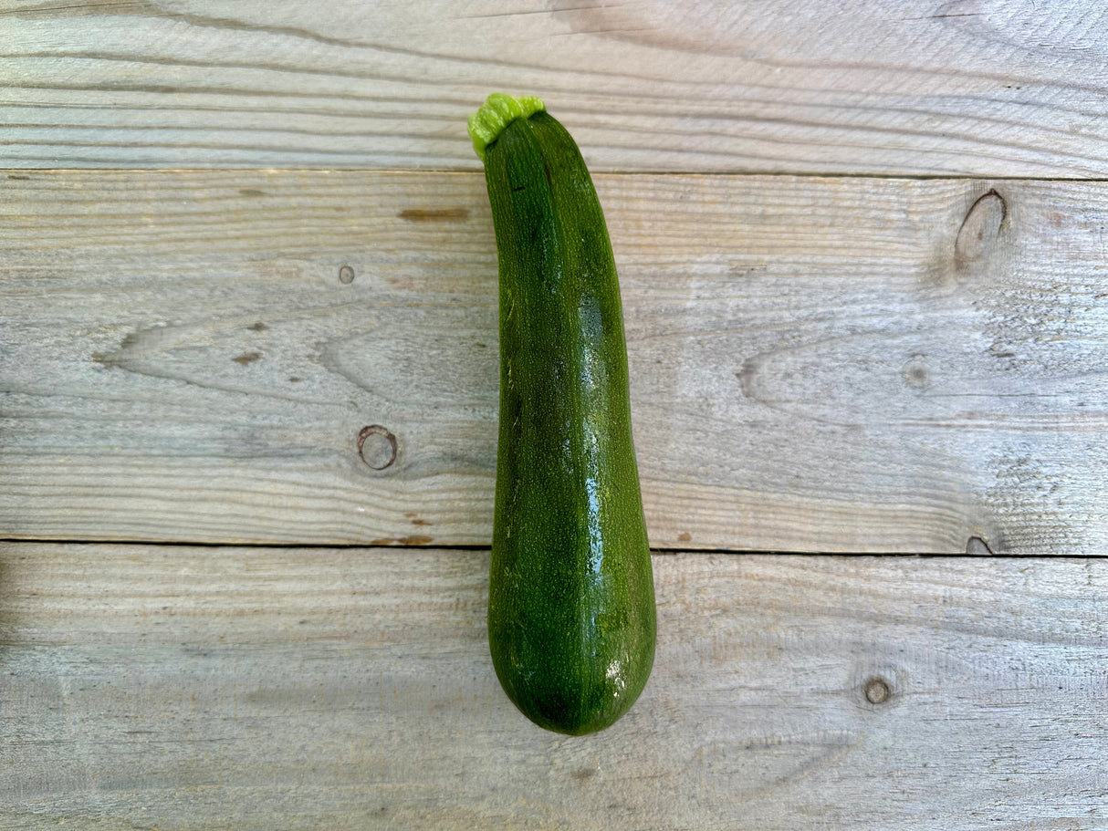 Zucchini, single