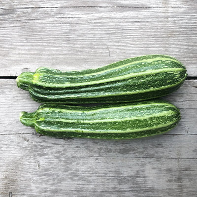 Zucchini, Costata Romanesco - 2 count