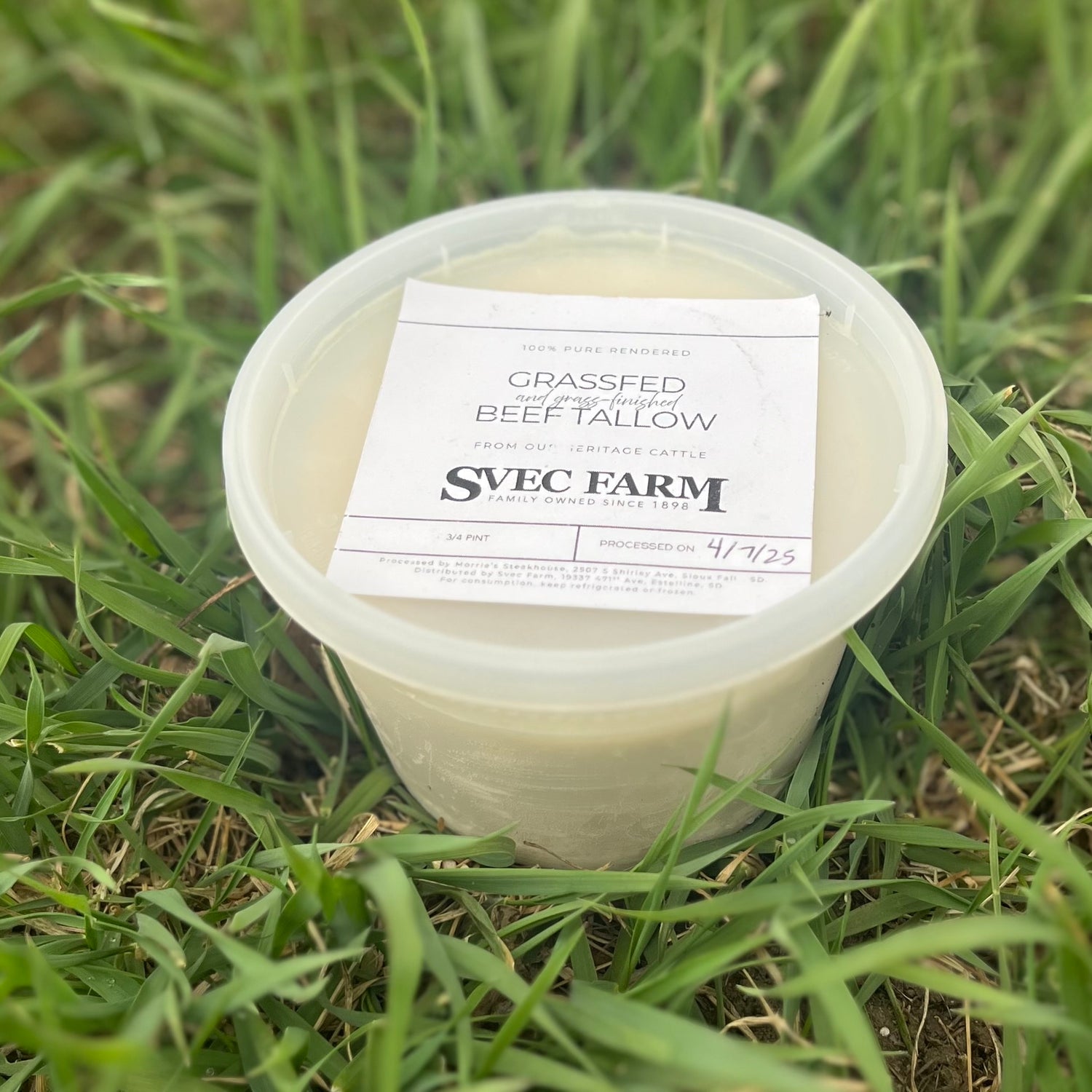 Grassfed Beef Fat