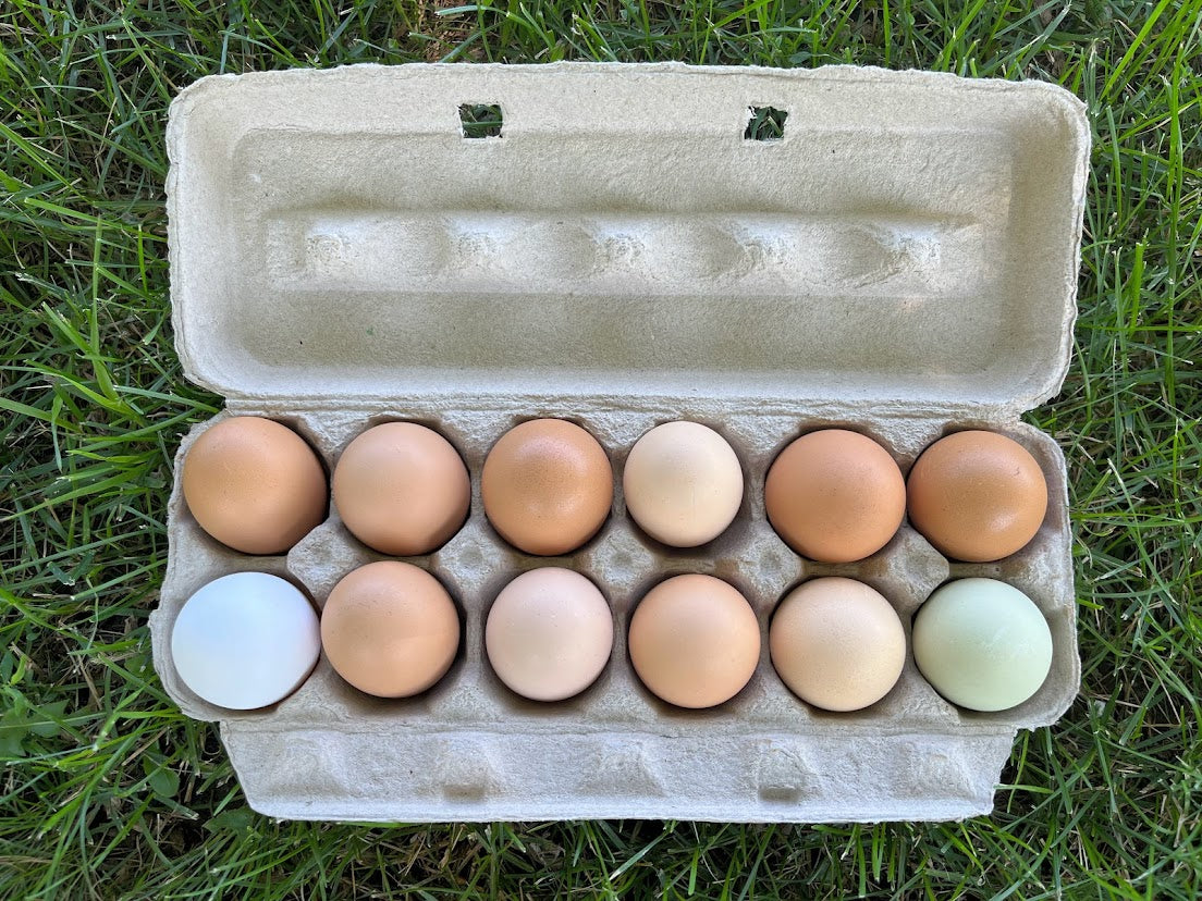 Fruit of the Coop Eggs
