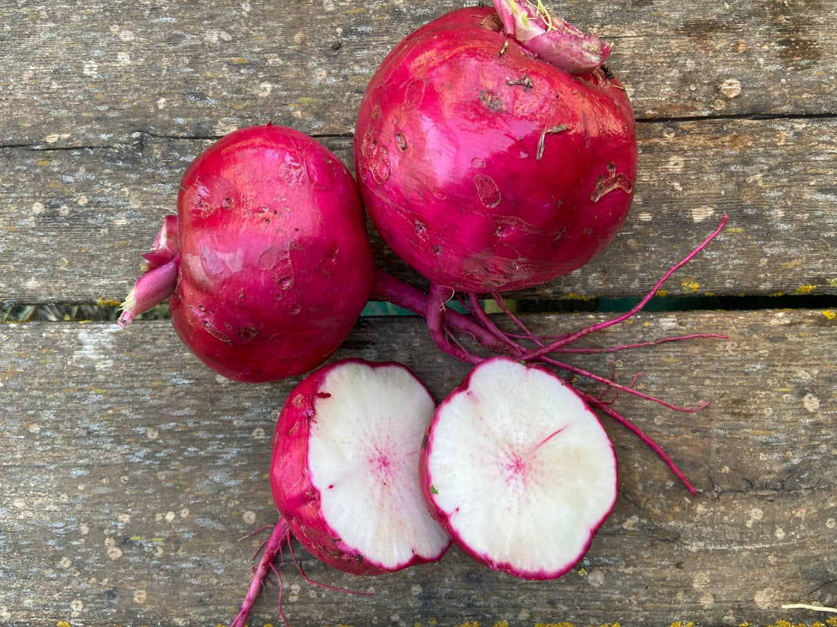 Turnips, Scarlet Queen - 1 lb