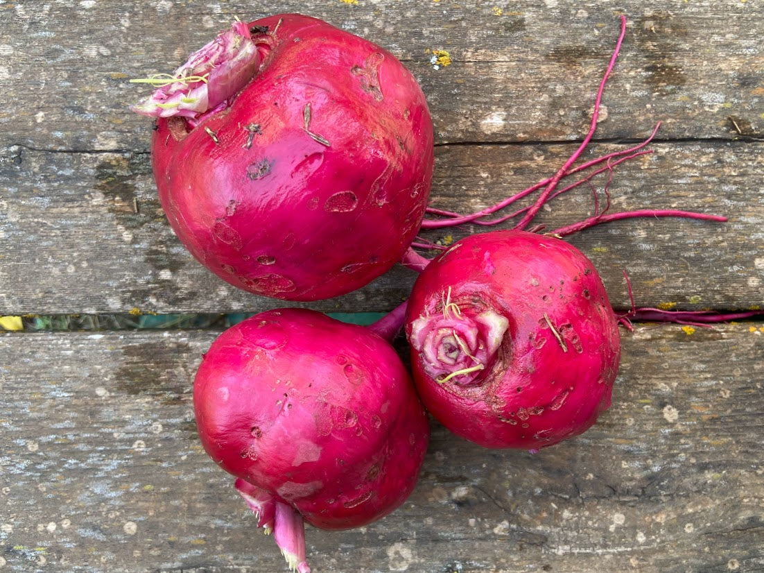 Turnips, Scarlet Queen - 1 lb