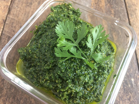 Cilantro Pesto