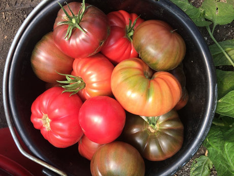 An Exciting Change for Glory Garden in 2019!