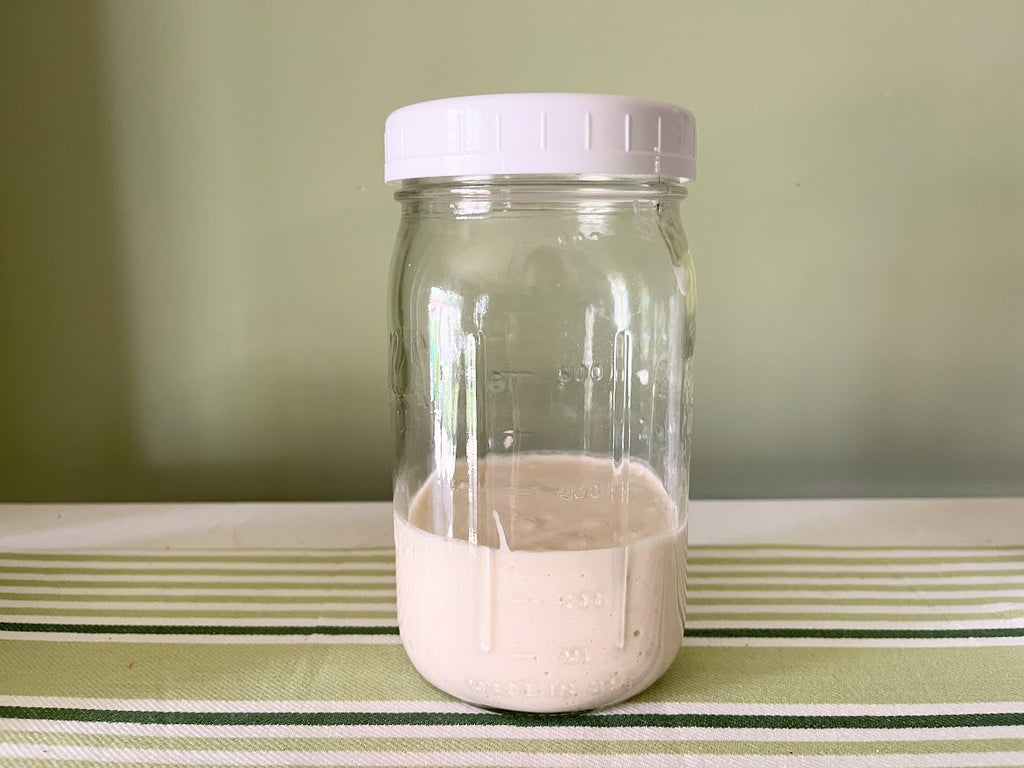 How to Care for and Use a Sourdough Starter