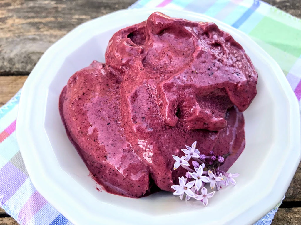 Four Ingredient Very Berry Soft Serve (Dairy and Sugar Free)