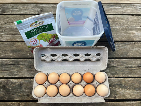 Easy Way to Preserve Eggs So That You Never Run Out