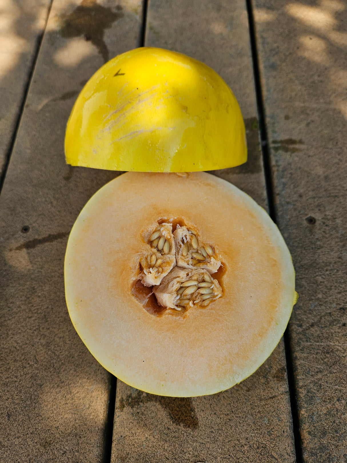 Honeydew, Honey Blonde