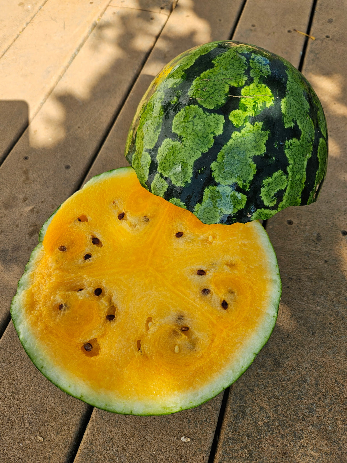 Watermelon, Leelanau Sweetglo