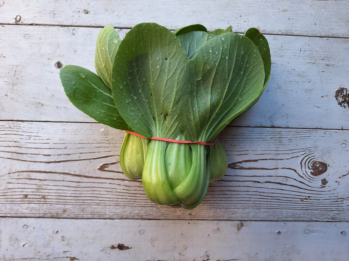 Baby Bok Choy