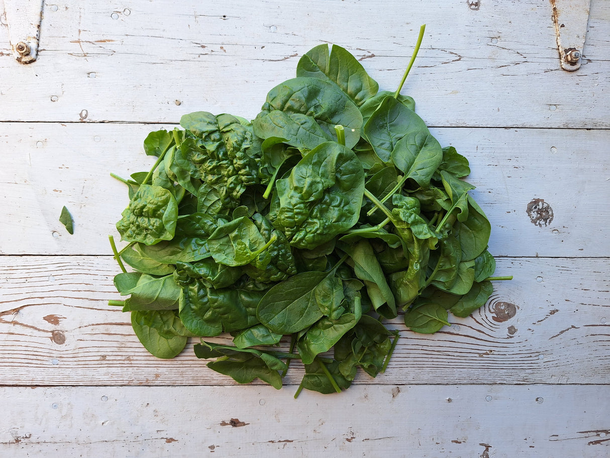 Spinach, 6 oz
