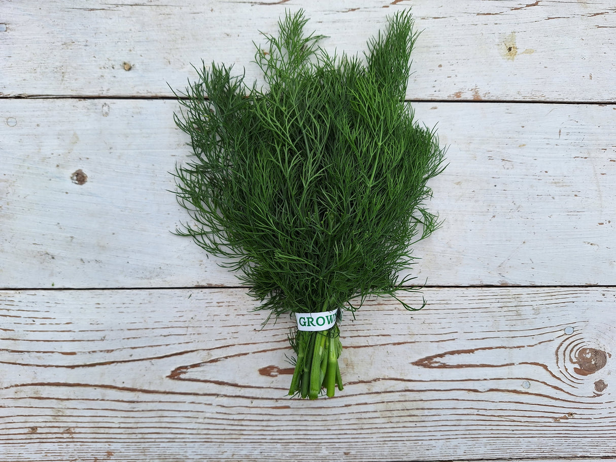 Dill