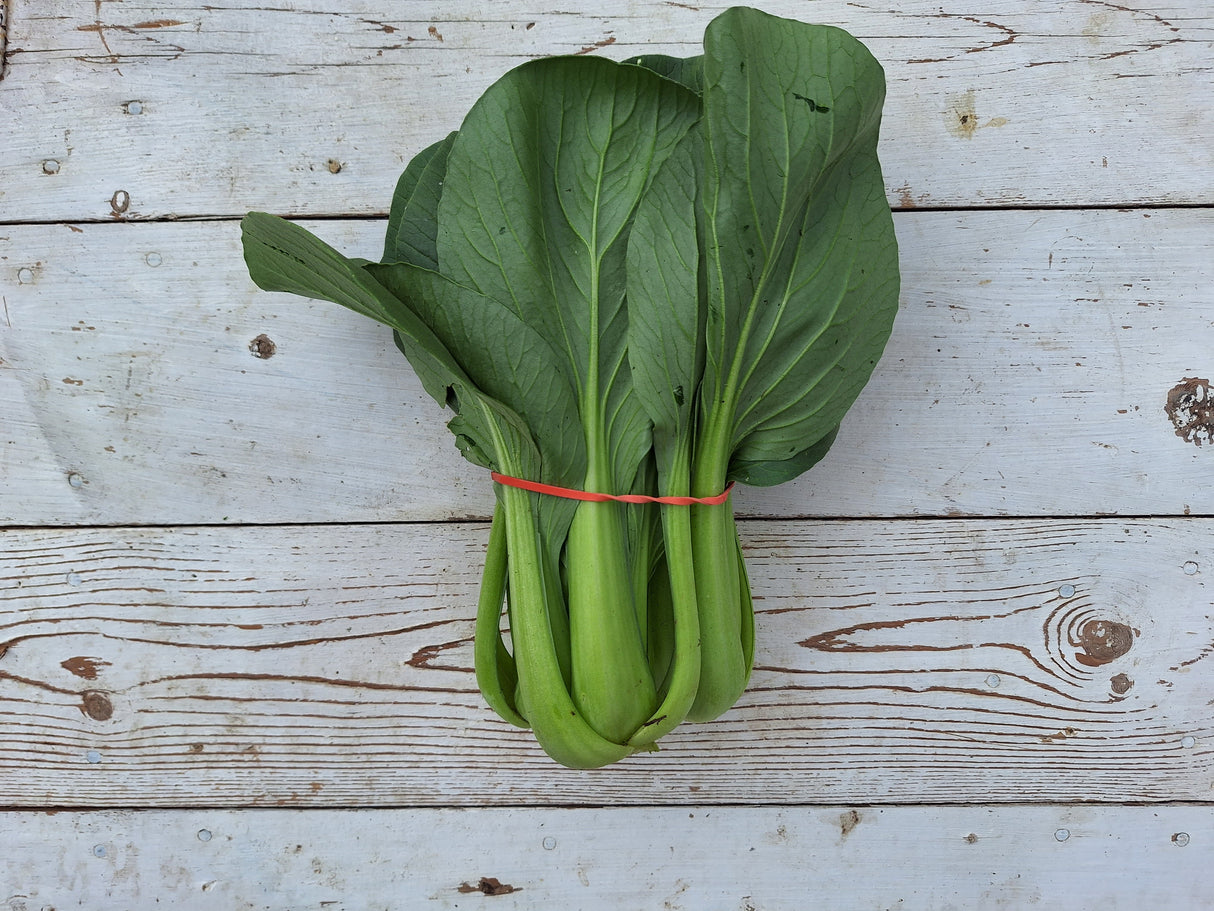 Bok Choy