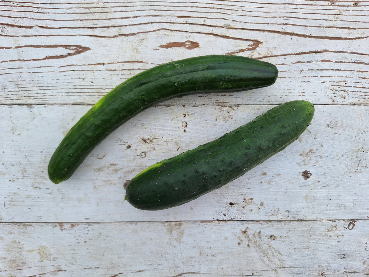 Cucumbers, Slicing - 2 count