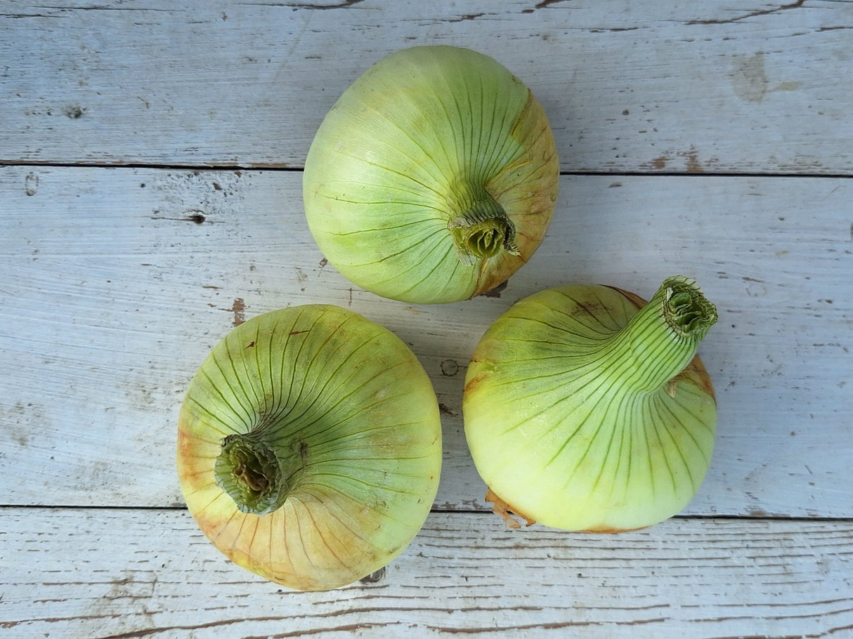 Onions, Sweet - 2 lb