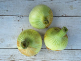 Onions, Sweet - 2 lb
