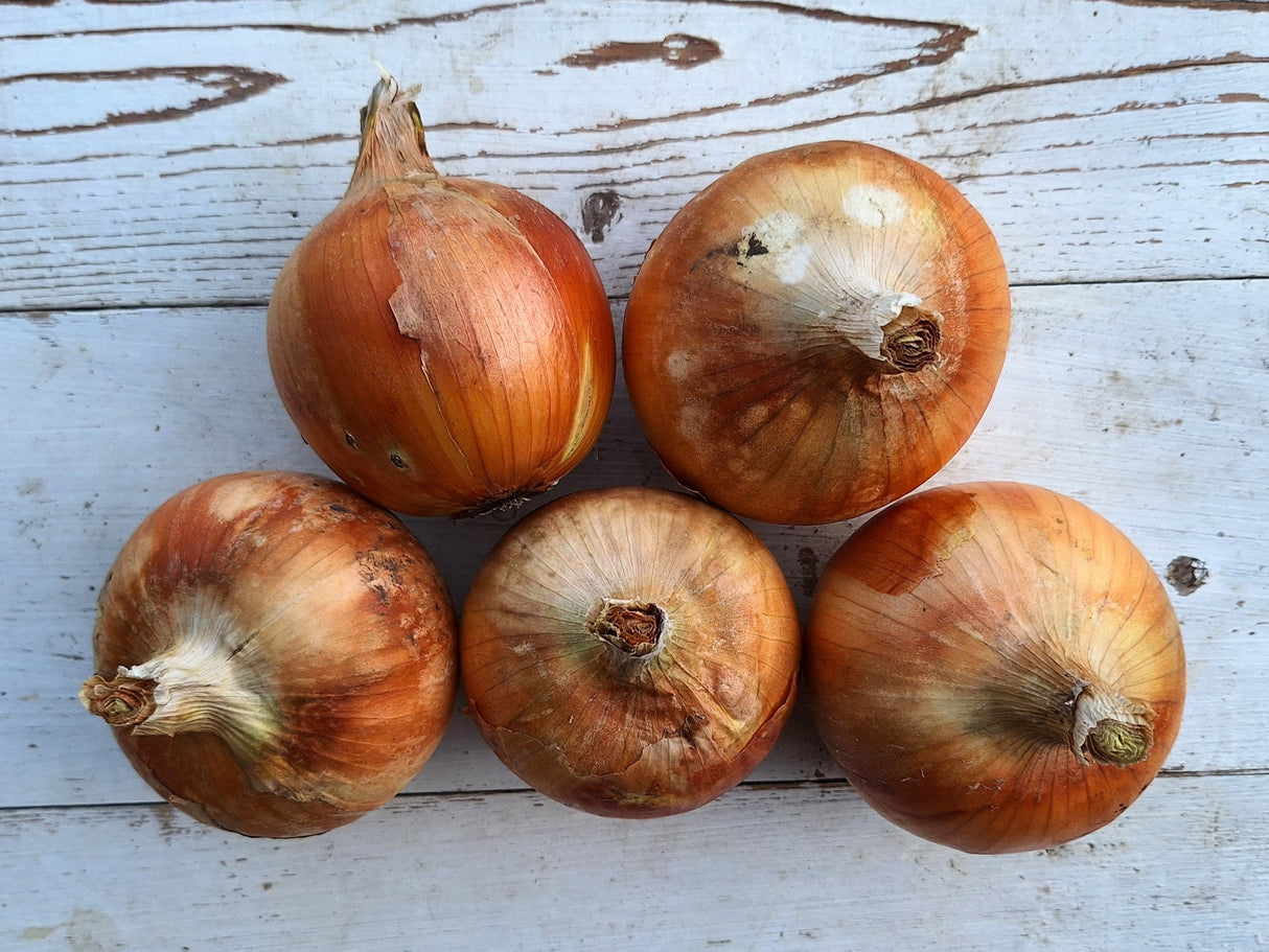 Onions, Yellow Storage - 3 lb