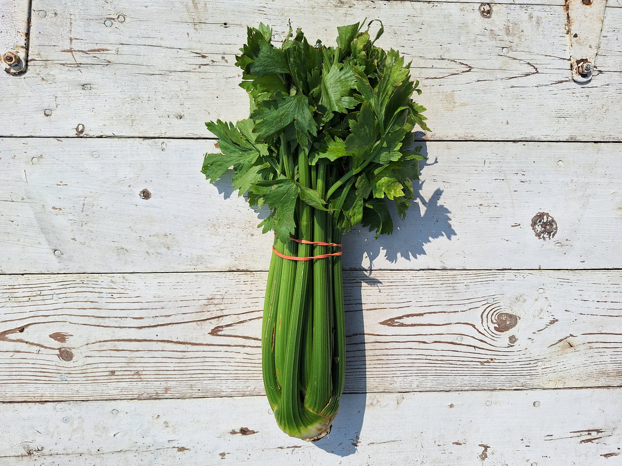 Celery, 1 bunch
